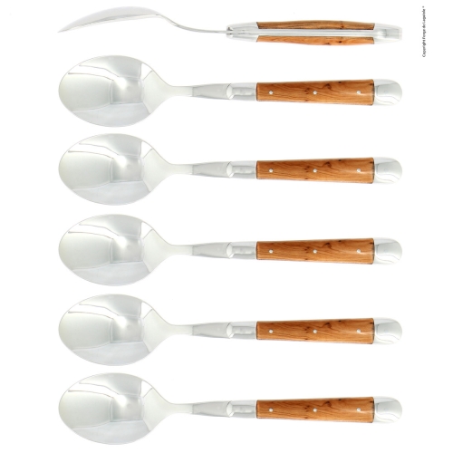 Zes lepels, En handvat, gepolijst, Tradition - Forge de Laguiole