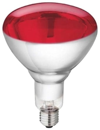 Lamp Philips IR Rood 250 W