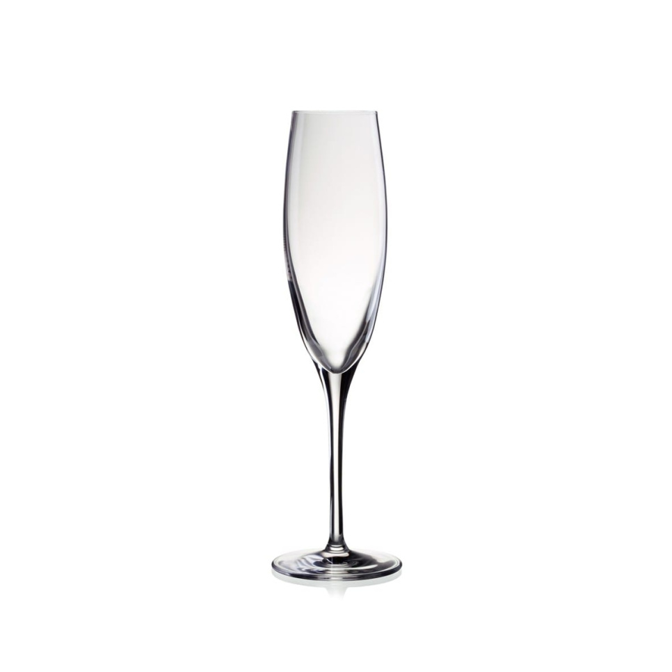 Champagneglas Penelope 17 cl in de groep Bar & Wijn / Wijnglas / Champagne glas bij The Kitchen Lab (1069-11129)