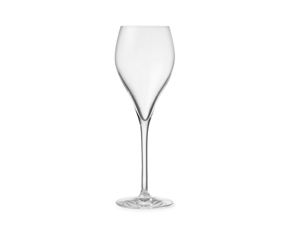 Champagneglas Enoclub, 34cl - Patina in de groep Bar & Wijn / Wijnglas / Champagne glas bij The Kitchen Lab (1069-26442)