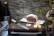 Gyuto, 21cm, Houcho - Satake Gyuto, 21cm, Houcho - Satake