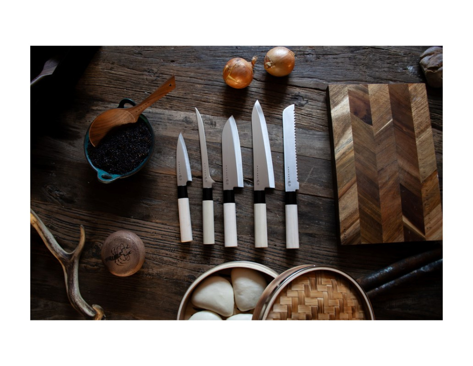 Houcho Knife set, 5 knives - Satake