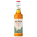 Monin Agave Syrup 70 cl