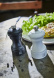 Set met zout- en pepermolen, 10 cm, Bistro Duo - Peugeot - Zwart & Wit