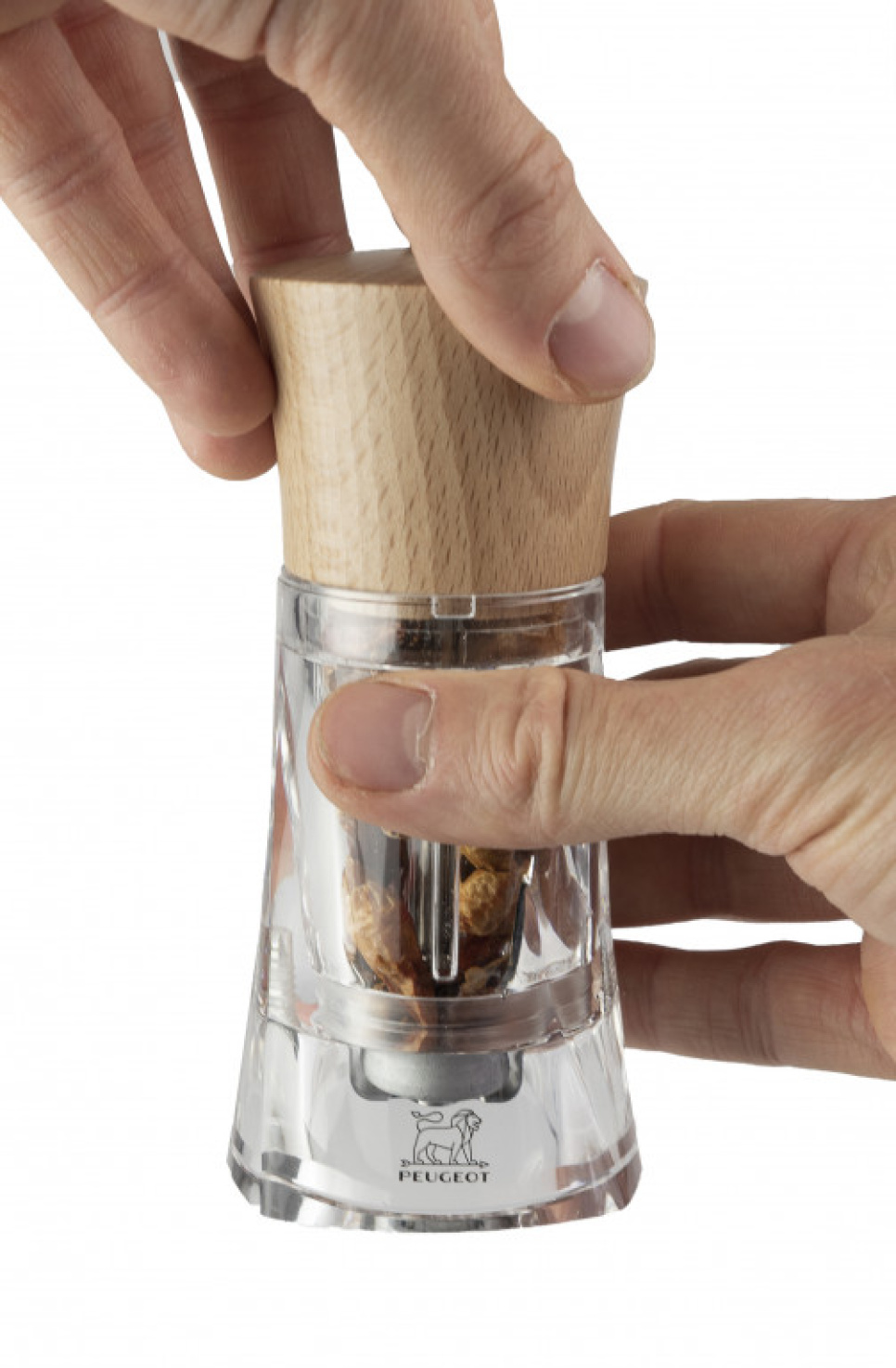 Chilimolen, 14 cm, Oléron - Peugeot