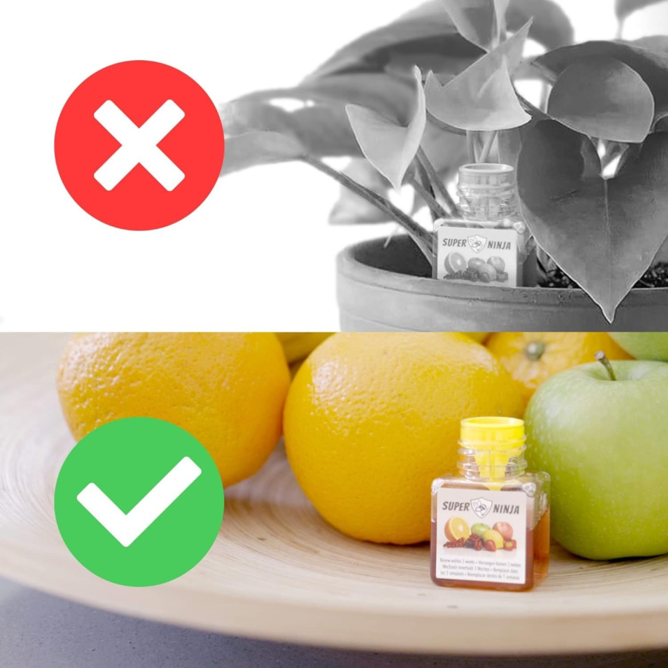 Fruitvliegenval - Super Ninja Fruitvliegenval - Super Ninja