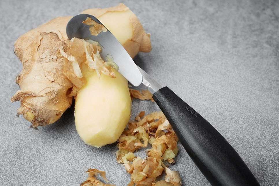 Sinaasappelschiller - Gefu