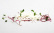 Carrageen Kappa (E407) - The Kitchen Lab Carrageen Kappa (E407) - The Kitchen Lab
