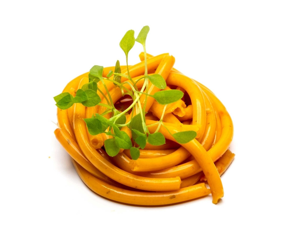 Carrageen Kappa (E407) - The Kitchen Lab Carrageen Kappa (E407) - The Kitchen Lab