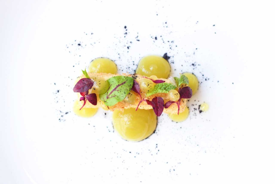 Citroenzuur (E330) - The Kitchen Lab Citroenzuur (E330) - The Kitchen Lab