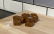 Kerstbonbons, moleculaire gastronomie - The Kitchen Lab Kerstbonbons, moleculaire gastronomie - The Kitchen Lab