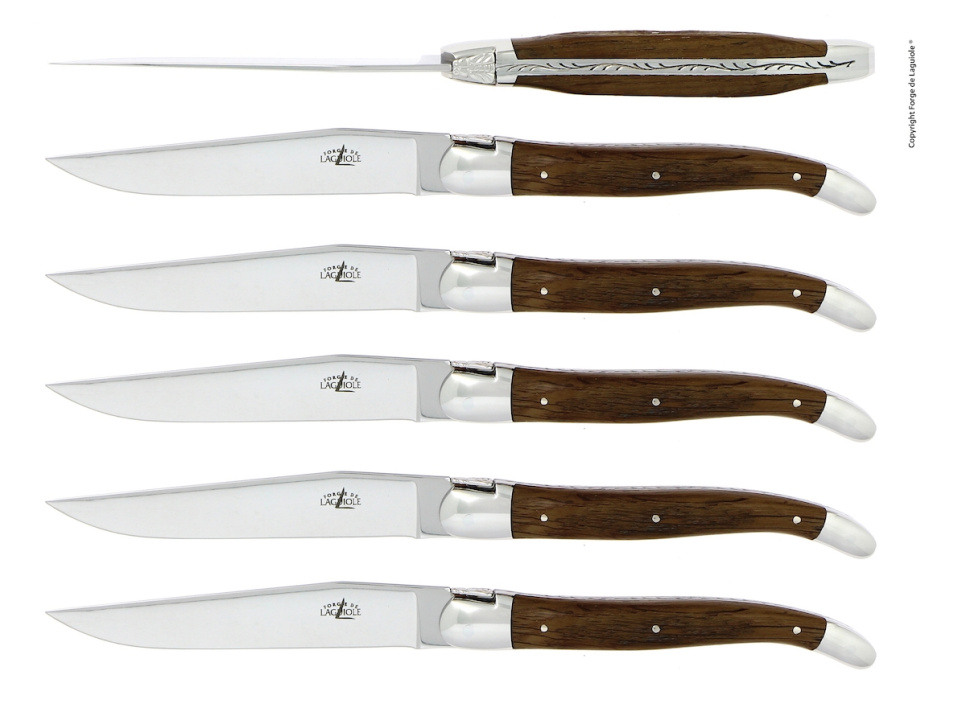 Zes messen, handvat van versteend eikenschors, gepolijst, Tradition - Forge de Laguiole in de groep Tafelschikking / Bestek / Messen bij The Kitchen Lab (1446-32909)