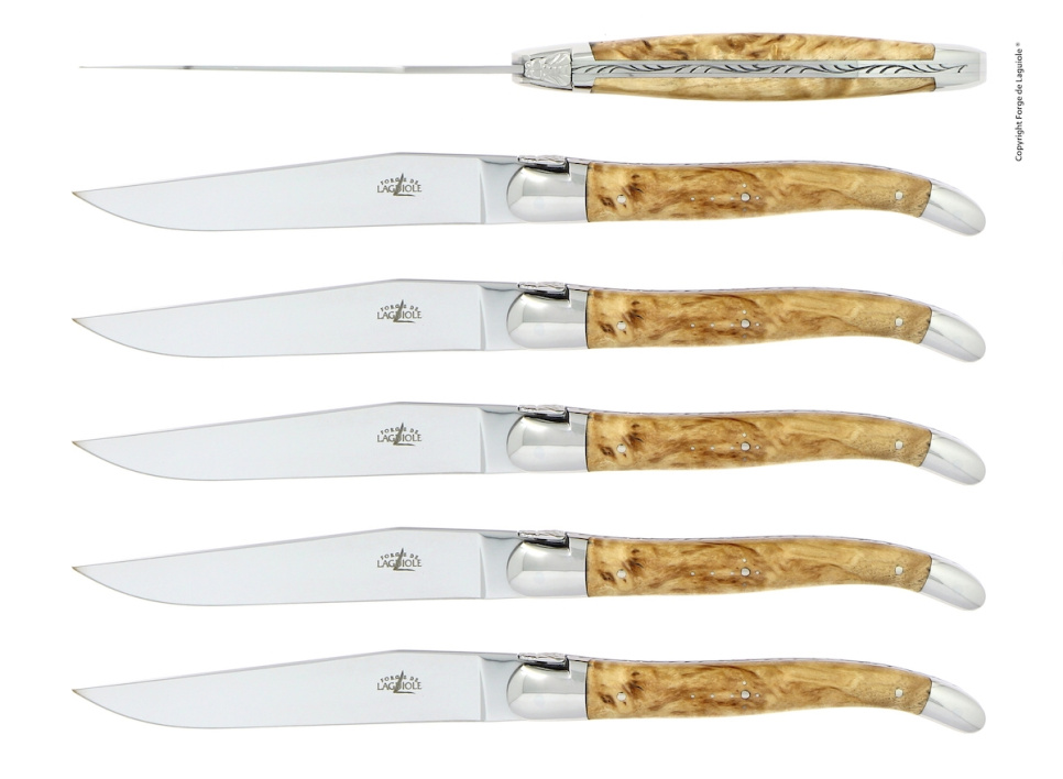 Zes messen, Berkenhouten handvat, gepolijst, Tradition - Forge de Laguiole in de groep Tafelschikking / Bestek / Messen bij The Kitchen Lab (1446-32910)