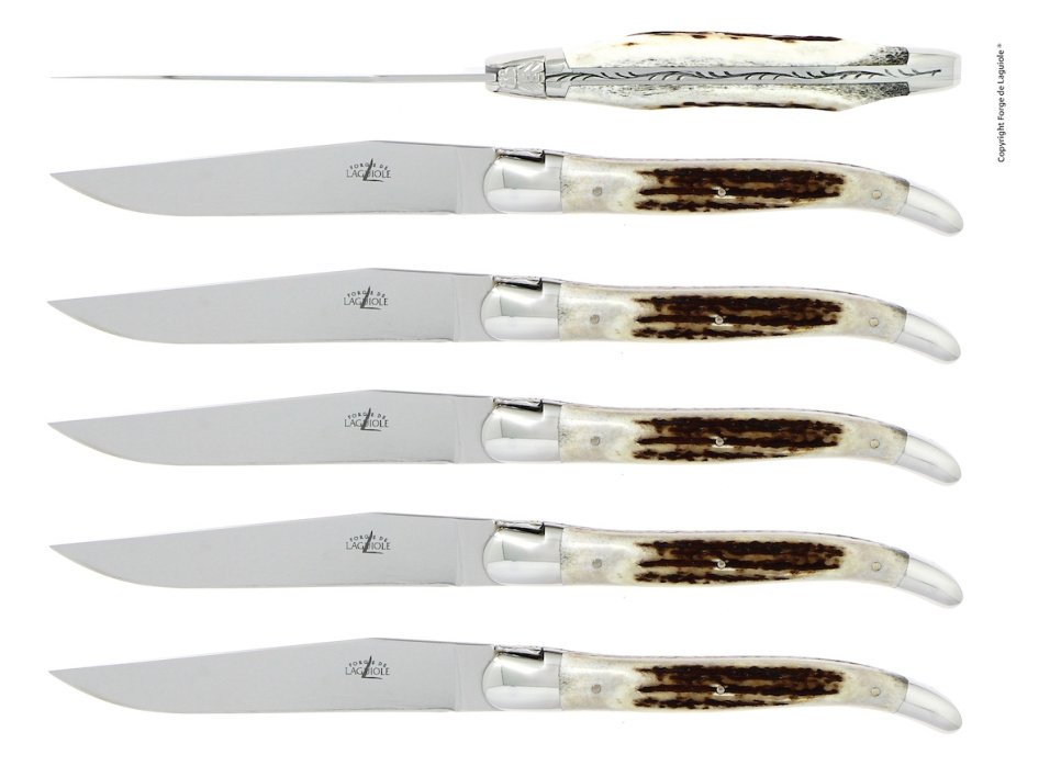 Zes messen, handvat van hertengewei, gepolijst, Tradition - Forge de Laguiole in de groep Tafelschikking / Bestek / Messen bij The Kitchen Lab (1446-32911)