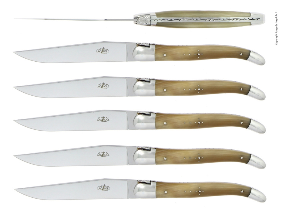 Zes messen, Licht hoornen handvat, gepolijst, Tradition - Forge de Laguiole in de groep Tafelschikking / Bestek / Messen bij The Kitchen Lab (1446-32913)