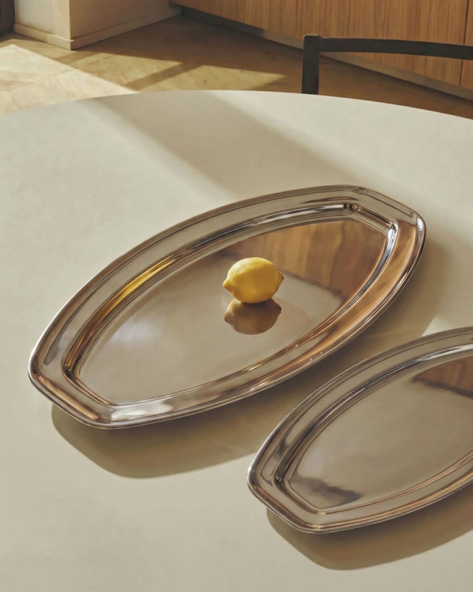 Visschaal van roestvrij staal, 70 cm - Alessi