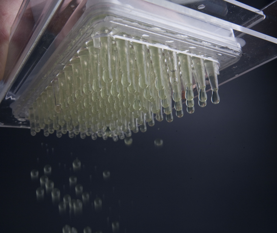 Kaviaarbox voor moleculair koken - 100% Chef Kaviaarbox voor moleculair koken - 100% Chef