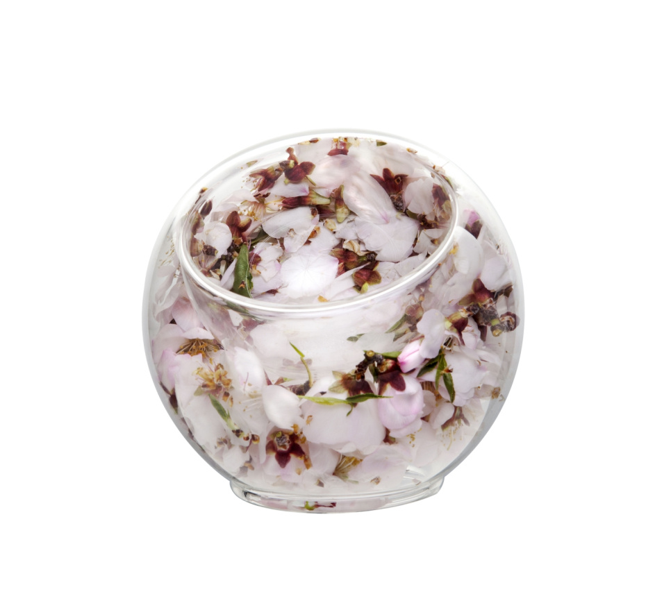 IJskom in borosilicaatglas - 100% Chef