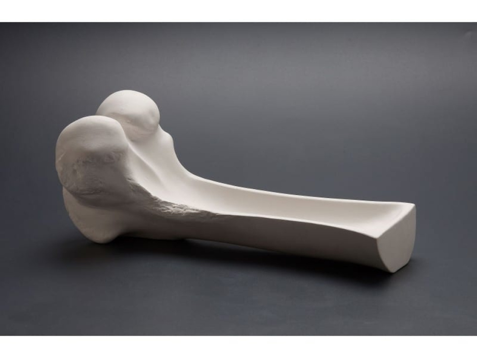 Dijbeen in porselein - 100% Chef