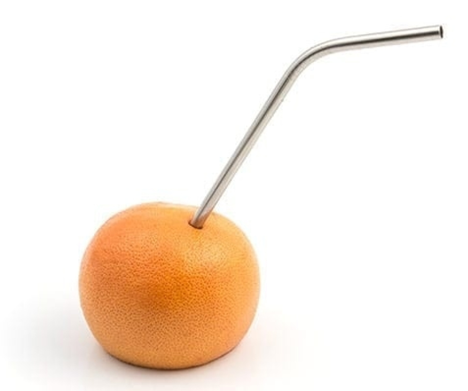 Rietje - RVS Rietje - 100% Chef Rietje - RVS Rietje - 100% Chef