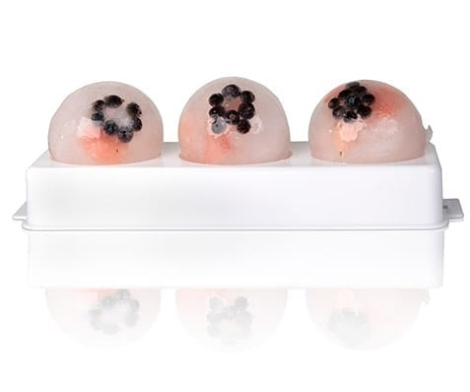 IJsbolvorm - 100% Chef IJsbolvorm - 100% Chef