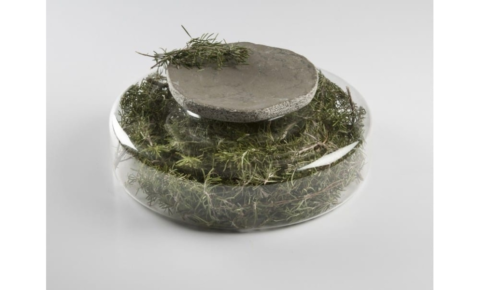 Advance Scene, serveerbord in borosilicaatglas - 100% Chef Advance Scene, serveerbord in borosilicaatglas - 100% Chef