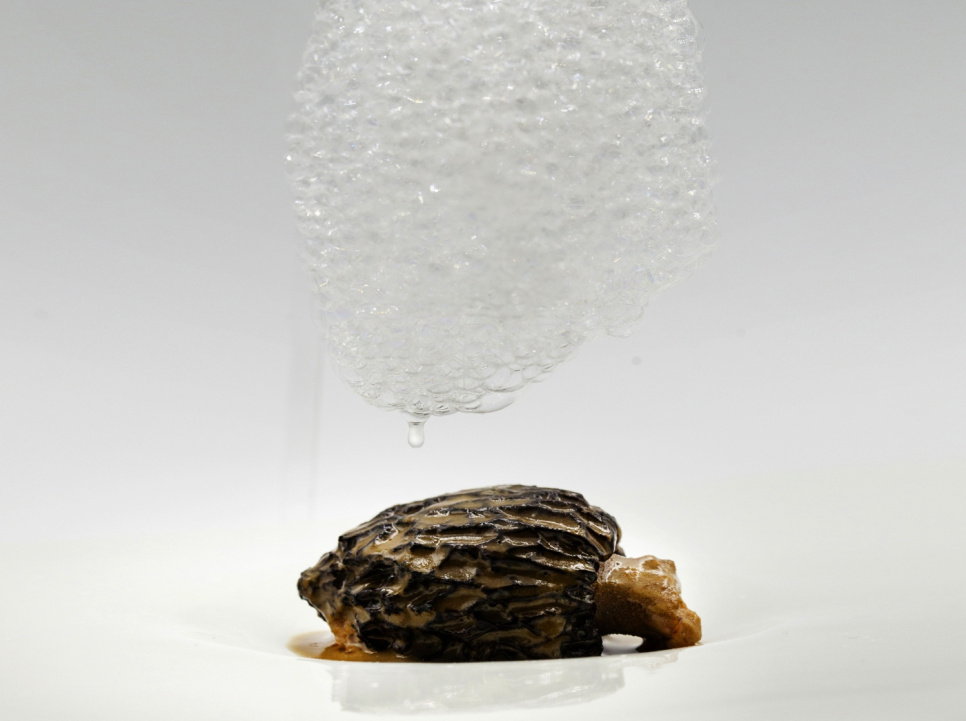 Startpakket VOM - 100% Baas