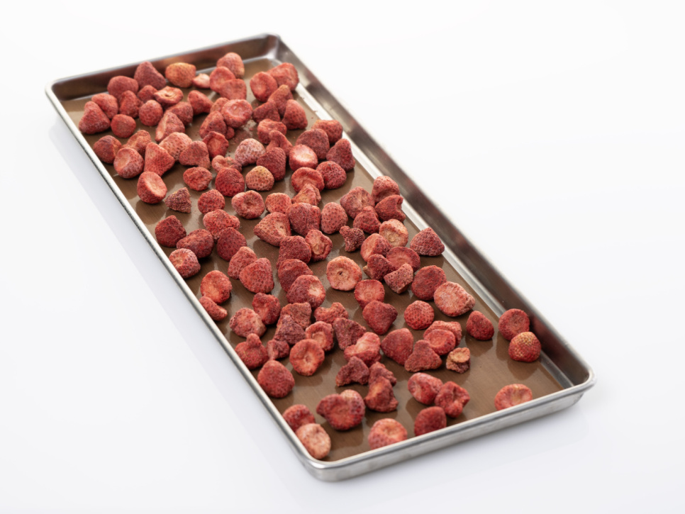 Anti-aanbakvellen voor Lyo Chef L, 6 stuks - Harvest Right