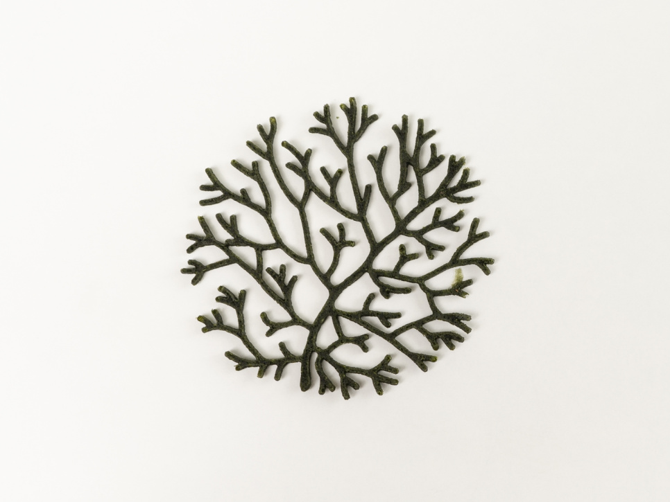 Siliconen mal voor tuille, Alg - 100% Chef Siliconen mal voor tuille, Alg - 100% Chef