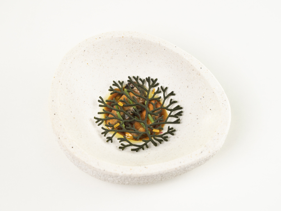 Siliconen mal voor tuille, Alg - 100% Chef Siliconen mal voor tuille, Alg - 100% Chef