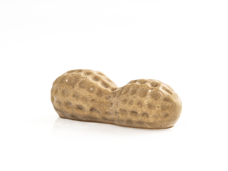 Siliconen mal voor decoratie, Pinda - 100% Chef