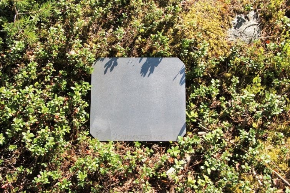 Pizzastaal,  Pizzastaal,