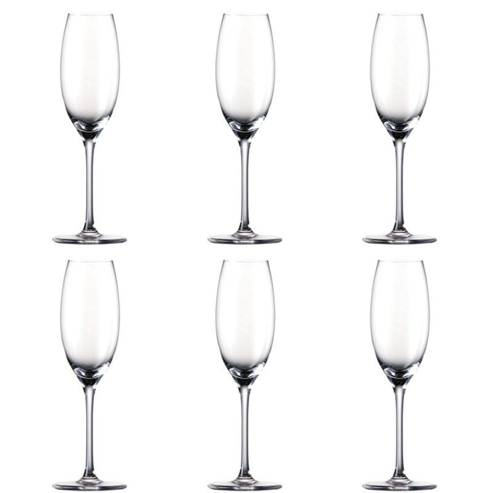 Champagnefluit, Thomas DiVino, 6 st in de groep Bar & Wijn / Wijnglas / Champagne glas bij The Kitchen Lab (1798-12739)