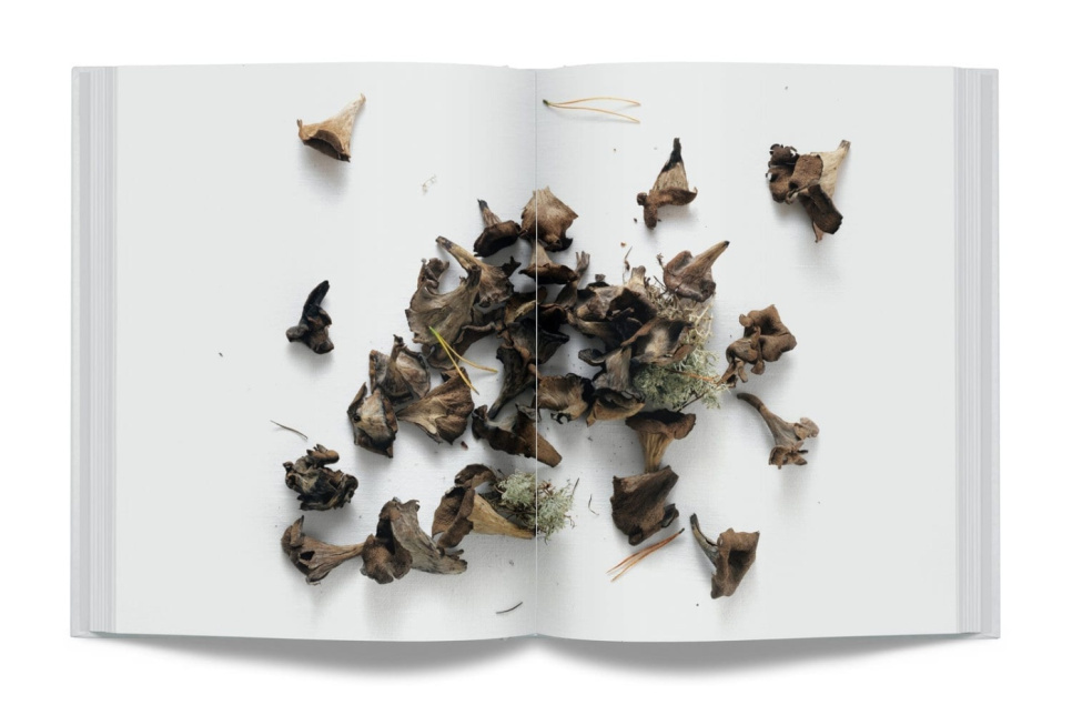 Het jaar in gastrologie door Jacob Holmström en Anton Bjuhr