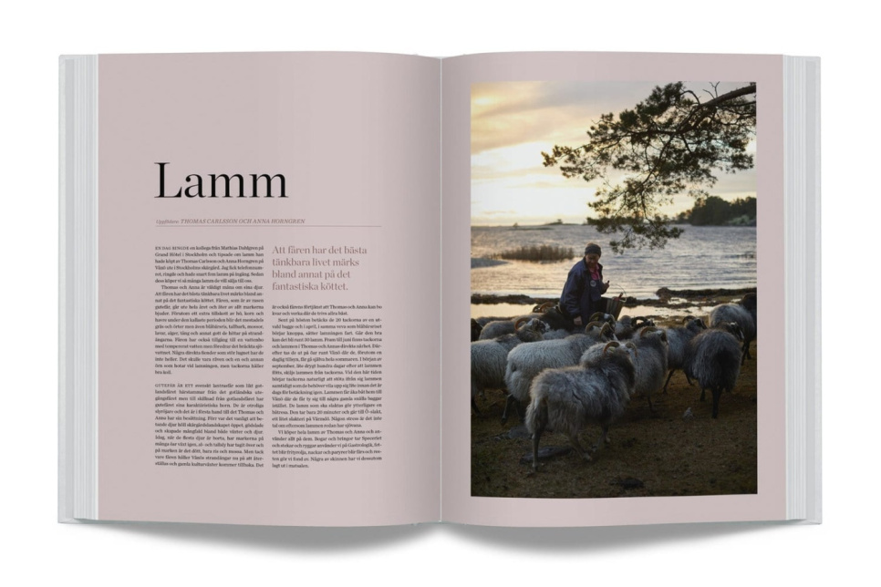 Het jaar in gastrologie door Jacob Holmström en Anton Bjuhr