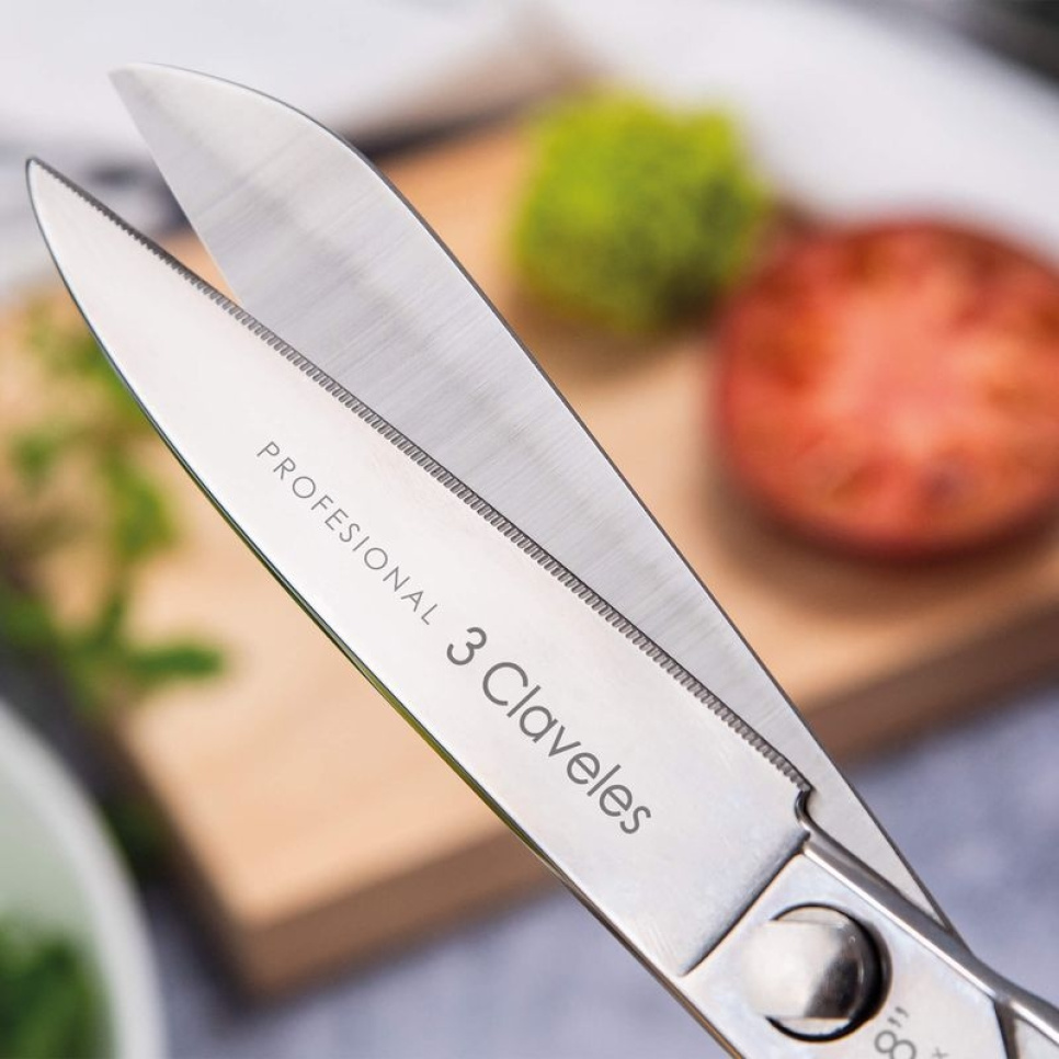 Keukenschaar van roestvrij staal, Professional - 3 Claveles - 20 cm