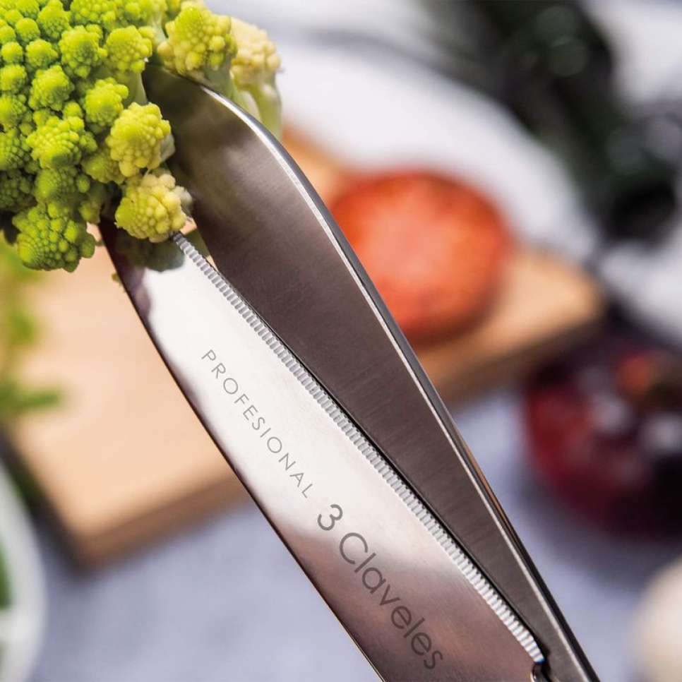 Keukenschaar van roestvrij staal, Professional - 3 Claveles - 20 cm