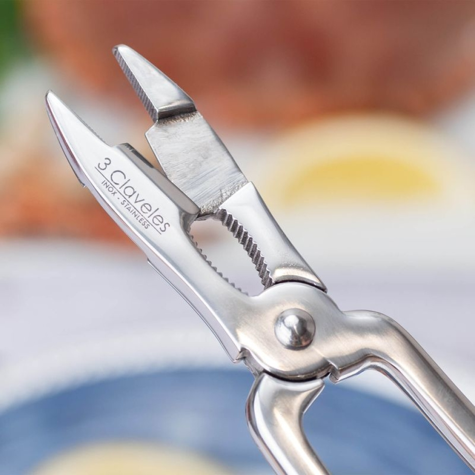 Schaaldierenschaar met veer, 17 cm - 3 Claveles