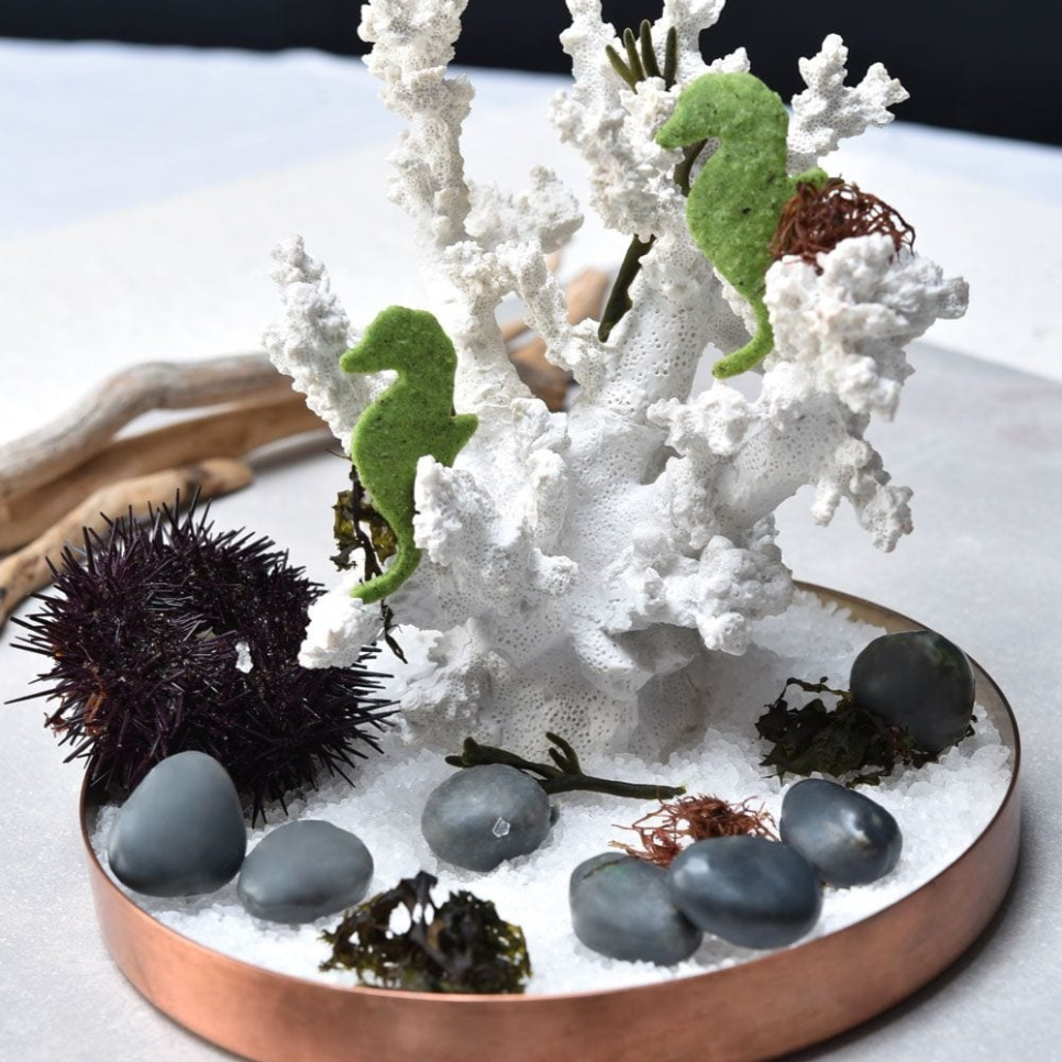 Siliconen vorm, Steen, Gourmand – Pavoni Siliconen vorm, Steen, Gourmand – Pavoni