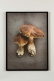 Keukenartikelen, Together - Arty Swede