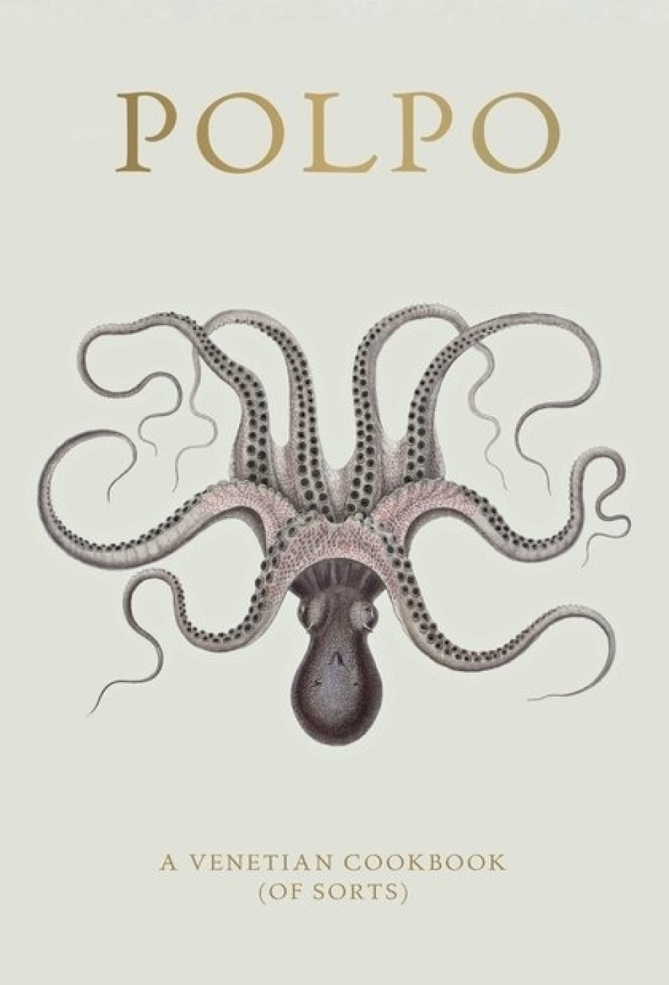 Polpo, A Venetian Cookbook (Of Sorts) - Russel Norman in de groep Koken / Kookboeken / Keukens & Culturen / Italië bij The Kitchen Lab (1987-26127)