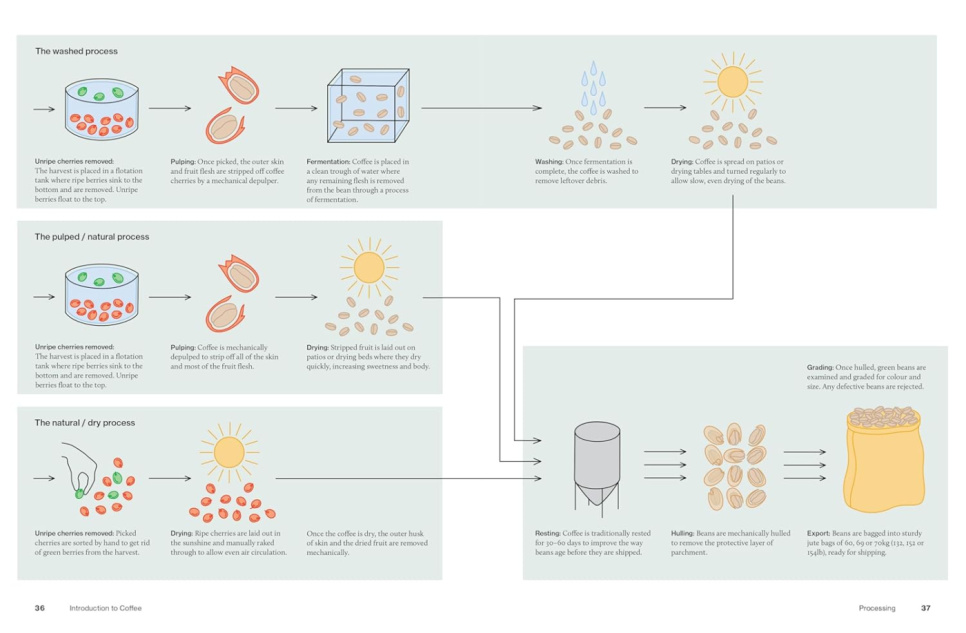 The World Atlas of Coffee, 3rd Edition - James Hoffmann