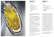 Easy Pasta - Osteria 16