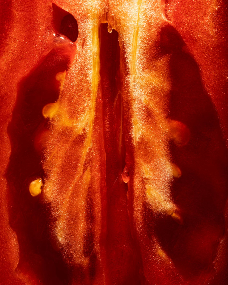 San Marzano tomatoes DOP, 420g - Casa Marrazzo San Marzano tomatoes DOP, 420g - Casa Marrazzo