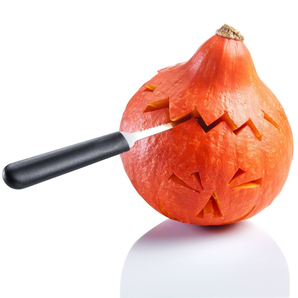 Pompoen decoratiegereedschap, 4 stuks - Westmark Pompoen decoratiegereedschap, 4 stuks - Westmark