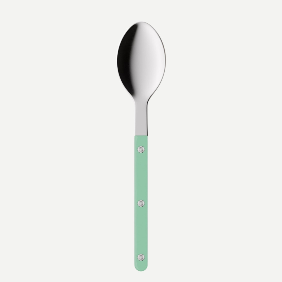 Eetlepel,-Bistrot, Pastel green - Sabre Paris in de groep Tafelschikking / Bestek / Lepels bij The Kitchen Lab (2195-32474)