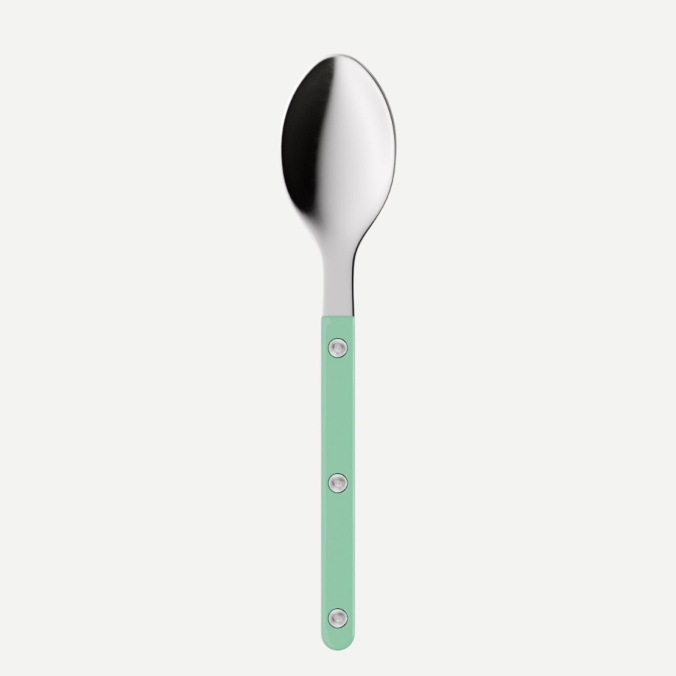Theelepel,-Bistrot, Pastel green - Sabre Paris in de groep Tafelschikking / Bestek / Lepels bij The Kitchen Lab (2195-32610)