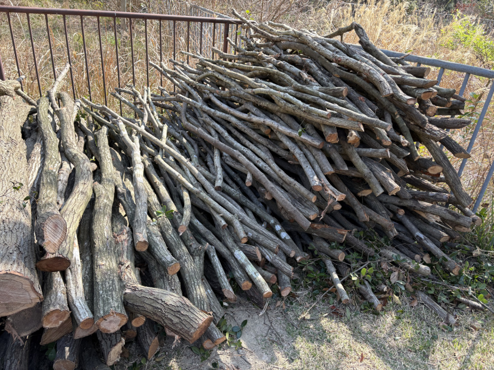 Houtskool, Kishu-Binchotan van Ubamegashi eik, ongeveer 1kg - Kisyu Sumikobo