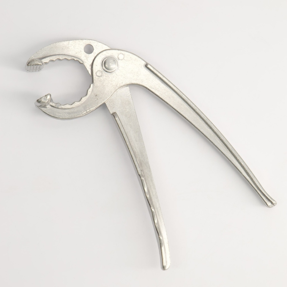 Zeewier voor Bibimbap kom