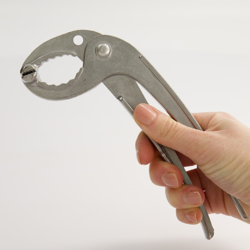 Zeewier voor Bibimbap kom